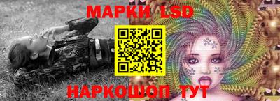 шишки Бийск