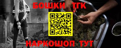 шишки Бийск