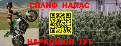 шишки Бийск