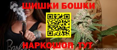 шишки Бийск