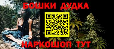 шишки Бийск