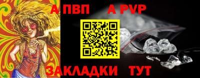 шишки Бийск
