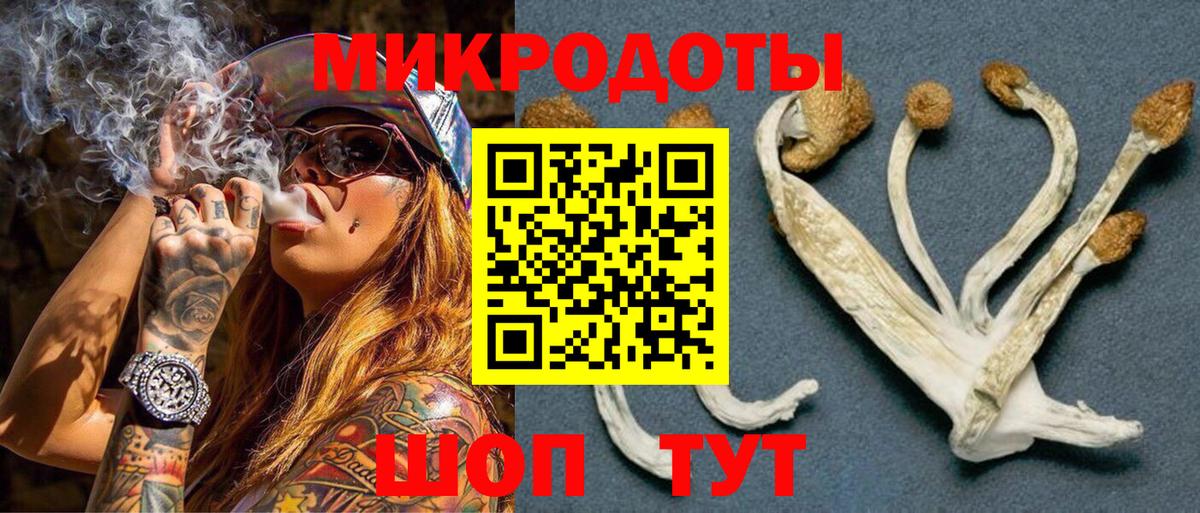Псилоцибиновые грибы Cubensis Казань