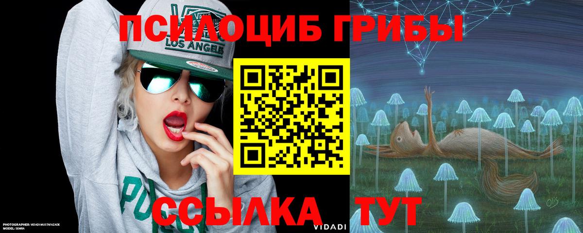 Казань  Псилоцибиновые грибы прущие грибы  Вход с VPN  Галлюциногенные грибы Psilocybine cubensis 
